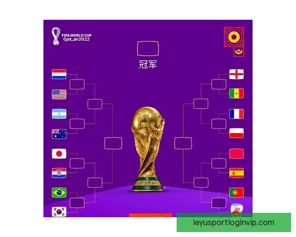 乐鱼体育体验全面解析用户口碑与使用感受评价